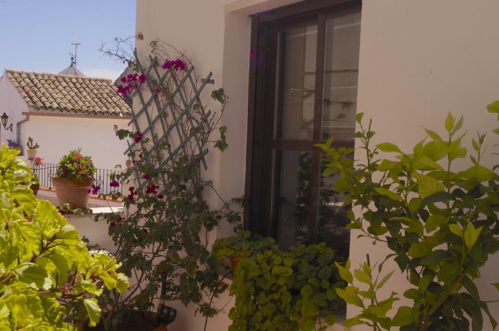 Penthouse Puerta De La Juderia Apartment Cordoba Luaran gambar