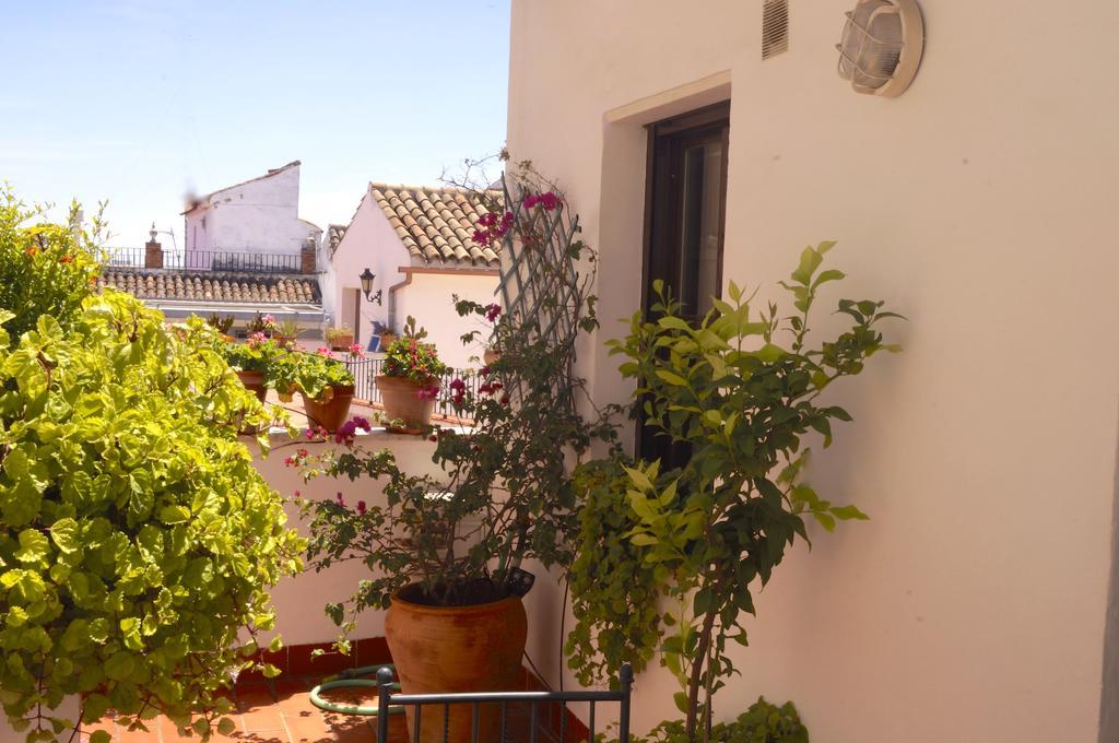 Penthouse Puerta De La Juderia Apartment Cordoba Luaran gambar